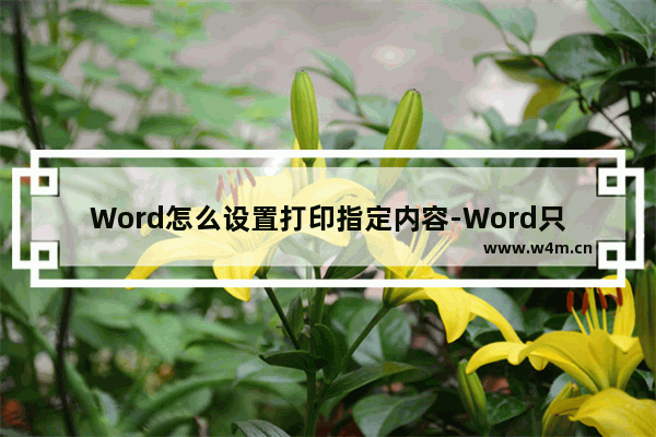 Word怎么设置打印指定内容-Word只打印选中的文字的方法