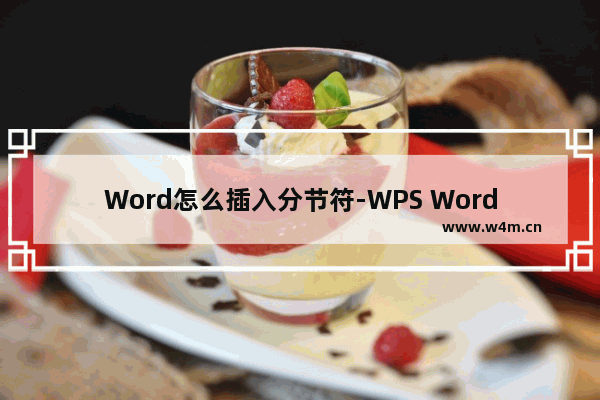 Word怎么插入分节符-WPS Word添加下一页分节符的方法