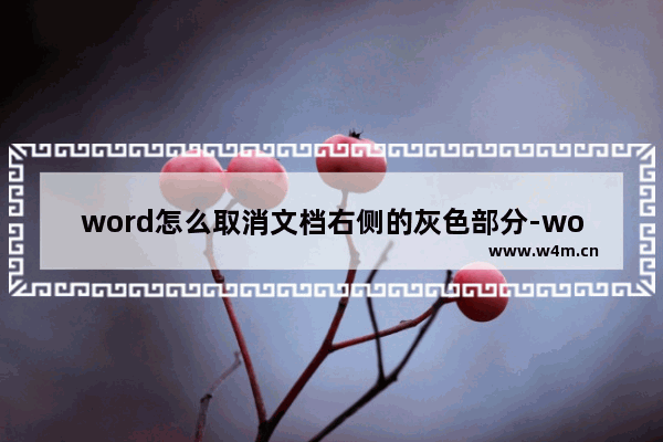 word怎么取消文档右侧的灰色部分-word文档右边有一列灰色的去除方法