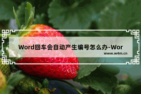 Word回车会自动产生编号怎么办-Word文档取消自动编号的方法