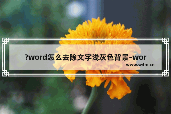 ?word怎么去除文字浅灰色背景-word将字体灰色底纹成功去除的方法