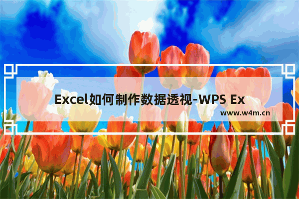 Excel如何制作数据透视-WPS Excel制作数据透视表的方法