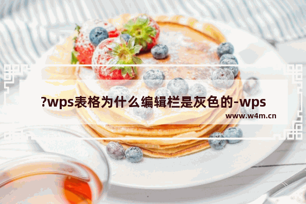 ?wps表格为什么编辑栏是灰色的-wps表格菜单栏的图标变成灰色的解决方法