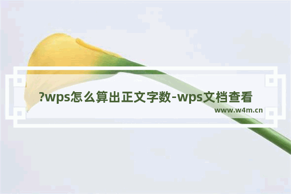 ?wps怎么算出正文字数-wps文档查看文档字符数的方法