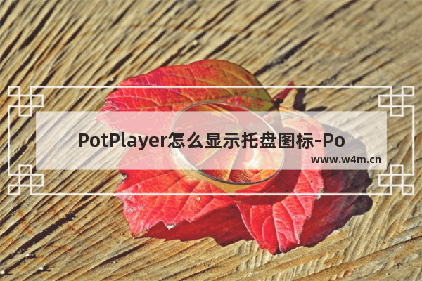 PotPlayer怎么显示托盘图标-PotPlayer显示托盘图标的方法