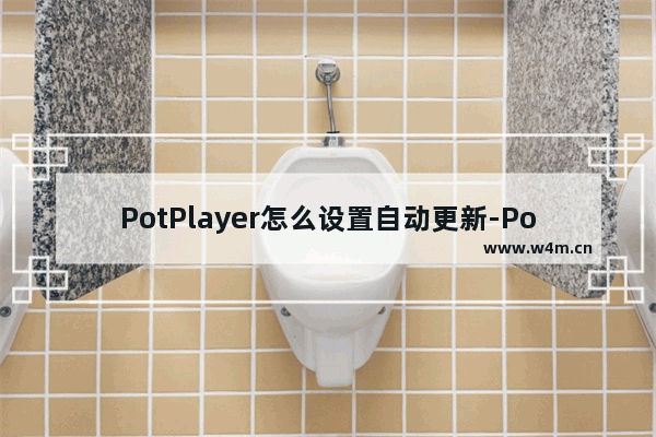 PotPlayer怎么设置自动更新-PotPlayer设置自动更新的方法