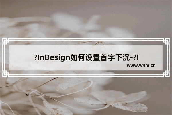 ?InDesign如何设置首字下沉-?InDesign将文本开头第一个字下沉的方法