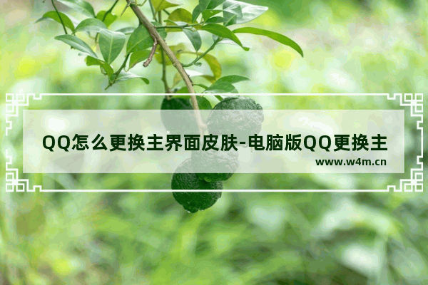 QQ怎么更换主界面皮肤-电脑版QQ更换主界面皮肤的方法