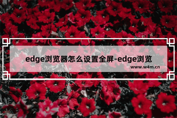 edge浏览器怎么设置全屏-edge浏览器快捷键进入全屏模式的方法