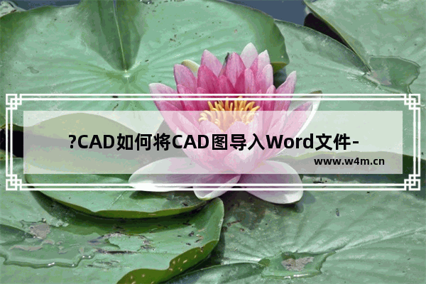 ?CAD如何将CAD图导入Word文件-AutoCAD中将图纸导入Word文档的方法教程