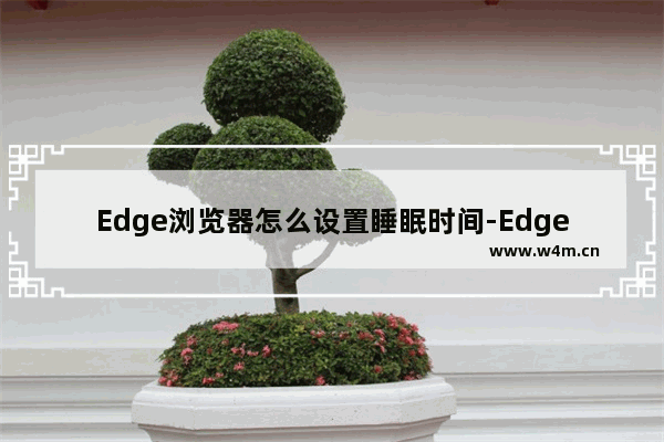 Edge浏览器怎么设置睡眠时间-Edge浏览器设置睡眠时间的方法