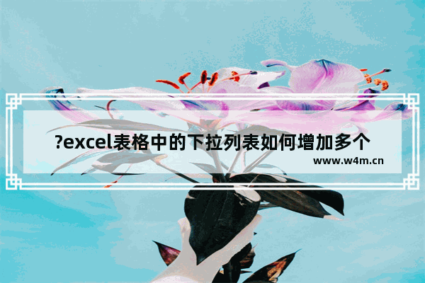 ?excel表格中的下拉列表如何增加多个选项-excel为下拉菜单增加选项的方法