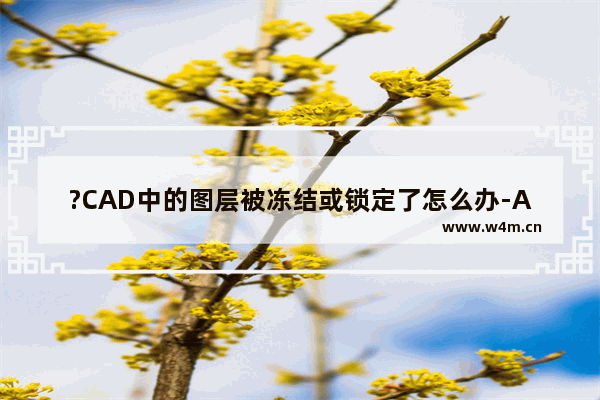 ?CAD中的图层被冻结或锁定了怎么办-AutoCAD中解决图层冻结或锁定无法编辑的方法教程