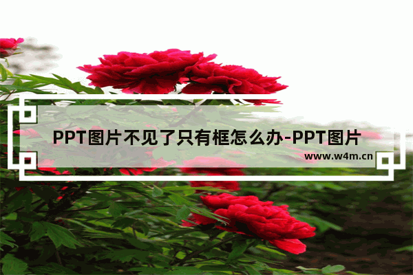 PPT图片不见了只有框怎么办-PPT图片不见了只有框的解决方法