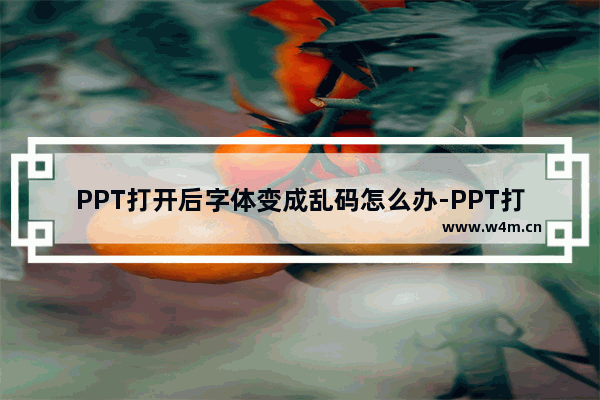 PPT打开后字体变成乱码怎么办-PPT打开后字体变成乱码的解决方法