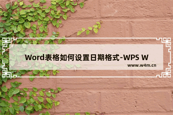 Word表格如何设置日期格式-WPS Word表格设置日期格式的方法