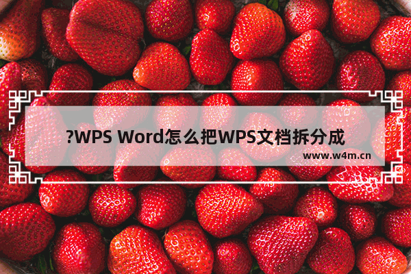 ?WPS Word怎么把WPS文档拆分成两个文档-WPS文档中拆分窗口的方法教程