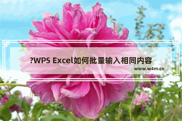 ?WPS Excel如何批量输入相同内容-WPS表格中快速批量录入相同数据的方法教程