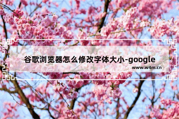 谷歌浏览器怎么修改字体大小-google浏览器设置字体大小的方法