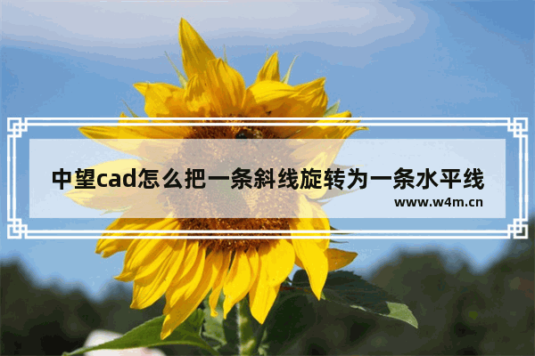 中望cad怎么把一条斜线旋转为一条水平线-中望cad把一条斜线旋转为一条水平线的方法