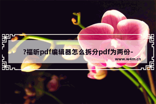 ?福昕pdf编辑器怎么拆分pdf为两份-?福昕pdf编辑器将pdf文件拆分成两份的方法