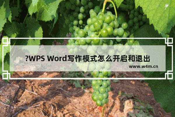 ?WPS Word写作模式怎么开启和退出-WPS文档进入或退出写作模式的方法教程