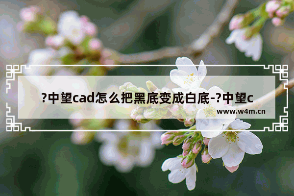 ?中望cad怎么把黑底变成白底-?中望cad将图形窗口颜色从黑色设置为白色的方法