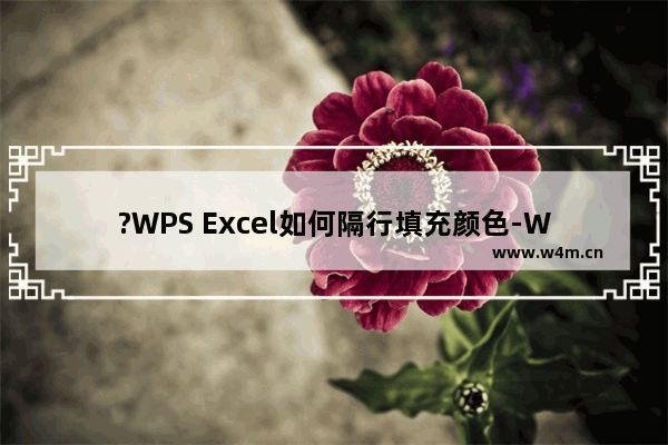 ?WPS Excel如何隔行填充颜色-WPS表格中快速隔一行填充背景颜色的方法教程