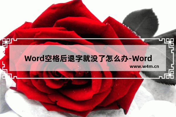 Word空格后退字就没了怎么办-Word输入英文后面的字就没了的解决方法