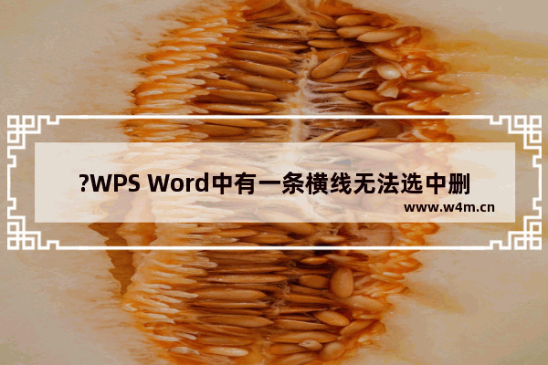 ?WPS Word中有一条横线无法选中删除怎么办-WPS文档取消尾注分隔横线的方法教程