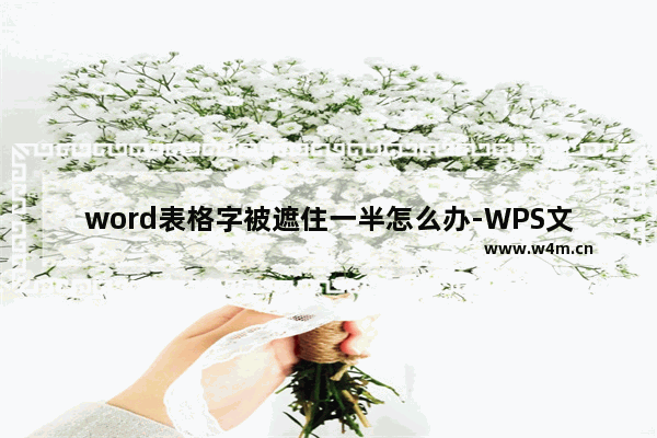 word表格字被遮住一半怎么办-WPS文档中表格文字显示一半隐藏一半的解决方法