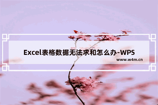 Excel表格数据无法求和怎么办-WPS excel表格数字不能求和的解决方法