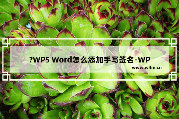 ?WPS Word怎么添加手写签名-WPS文档中插入手写签名的方法教程