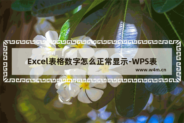 Excel表格数字怎么正常显示-WPS表格数字变成正常数字的方法