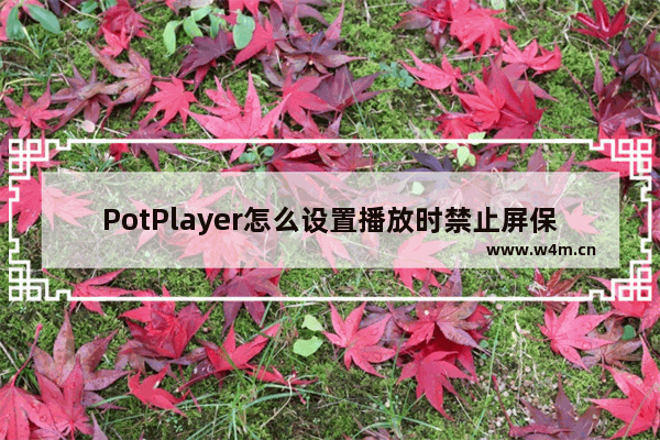 PotPlayer怎么设置播放时禁止屏保-PotPlayer设置播放时禁止屏保的方法