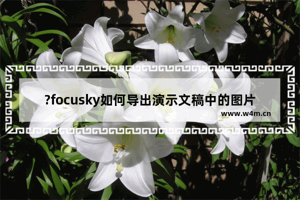 ?focusky如何导出演示文稿中的图片-?focusky将幻灯片的图片另存下来的方法