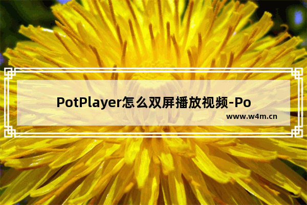 PotPlayer怎么双屏播放视频-PotPlayer双屏播放视频的方法