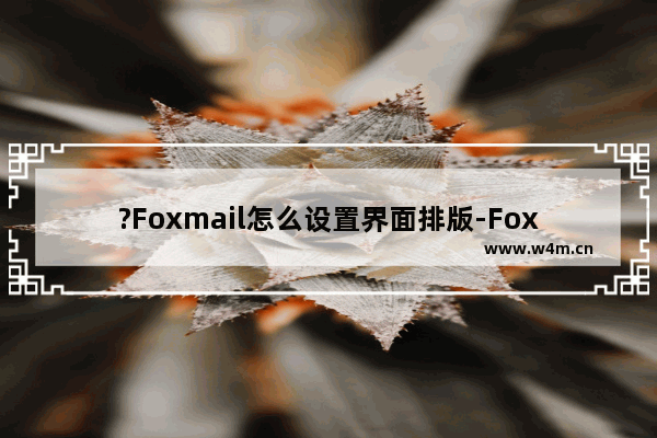 ?Foxmail怎么设置界面排版-Foxmail邮箱调整界面布局的方法教程