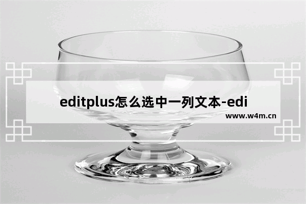 editplus怎么选中一列文本-editplus选中一列文本的方法