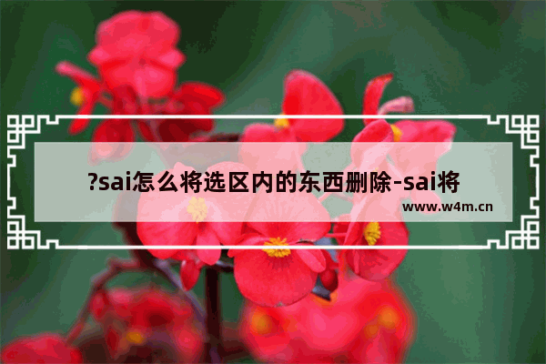 ?sai怎么将选区内的东西删除-sai将局部图像去除的方法