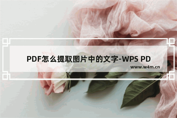 PDF怎么提取图片中的文字-WPS PDF提取图片上的文字内容的方法