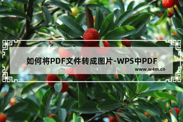 如何将PDF文件转成图片-WPS中PDF文档转换为图片的方法