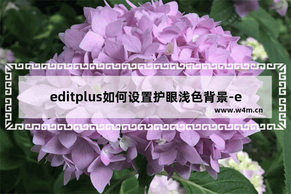 editplus如何设置护眼浅色背景-editplus将页面背景颜色设置为豆沙绿的方法