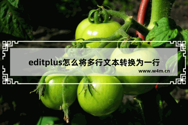 editplus怎么将多行文本转换为一行-editplus将多行文本转换为一行的方法