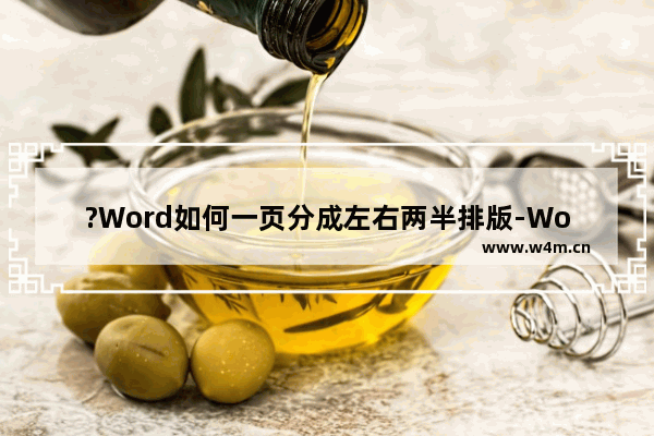 ?Word如何一页分成左右两半排版-Word文档中排成左右分开成两半的方法教程