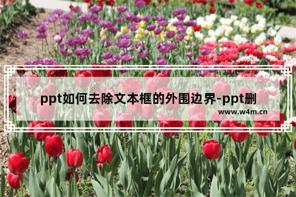 ppt如何去除文本框的外围边界-ppt删除文本框边框轮廓线的方法