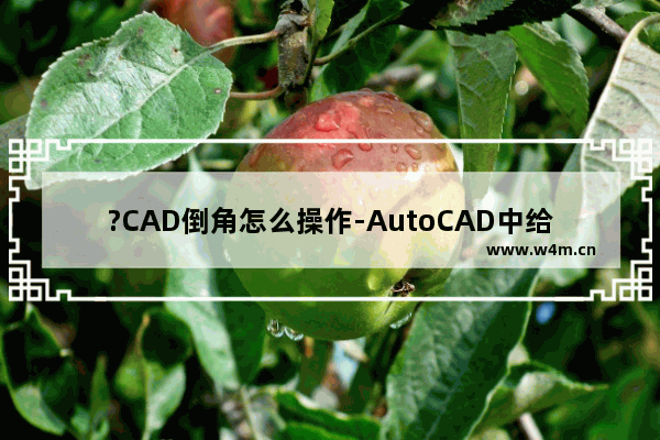 ?CAD倒角怎么操作-AutoCAD中给对象添加倒角的方法教程