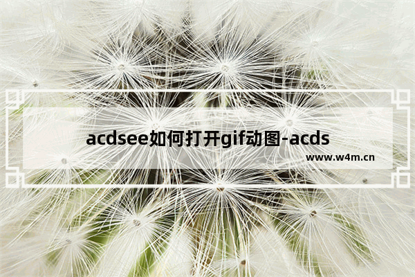 acdsee如何打开gif动图-acdsee打开gif格式的图片方法