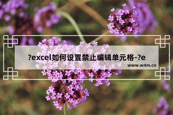 ?excel如何设置禁止编辑单元格-?excel锁定单元格不被修改的方法