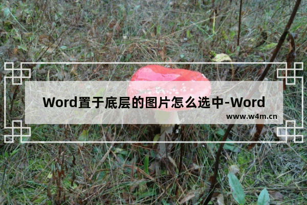 Word置于底层的图片怎么选中-Word选中置于底层的图片的方法